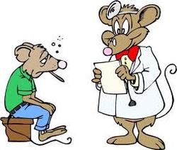 Ill Mouse with a Doctor Mouse
